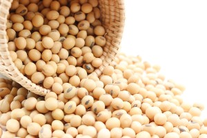 soy beans spilling from a wicker basket on a white background